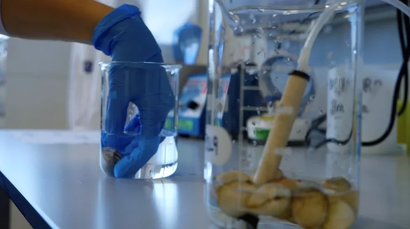 Menos mal que no es el caso en los humanos