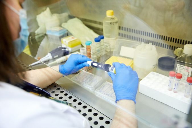 Analicemos las conclusiones del estudio