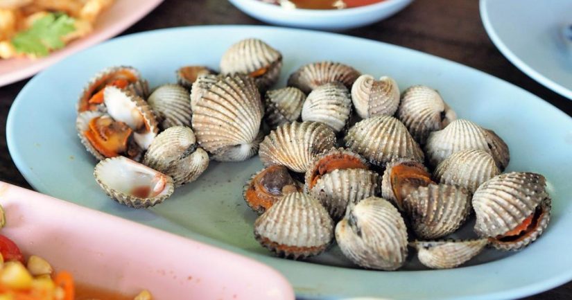 Gracias a los avances de la genética