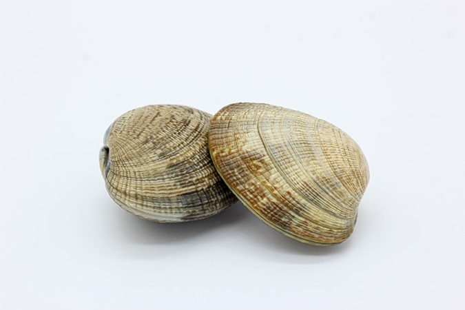 Una enfermedad bastante resistente