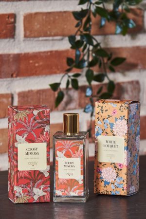 Loewe, Coosy, y Pepe Jeans se apoyan en Dejavu Brands para captar clientes 2 Merca2.es Coosy WM 3 Merca2.es