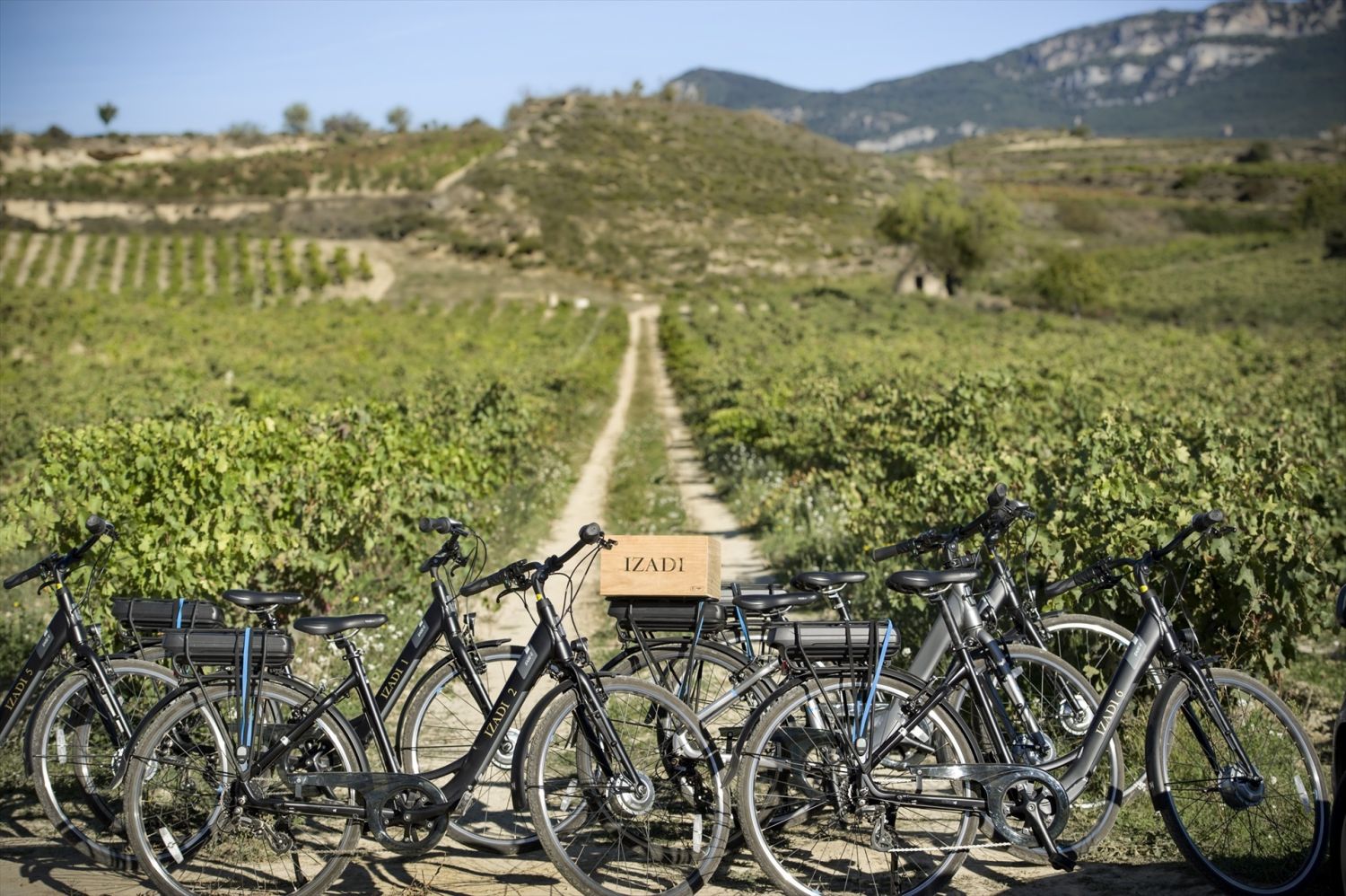 Gevisa Wine Capital adquiere el 90% de Bodegas Riojanas tras culminar su reestructuración 1 Merca2 OPA Bodegas Riojanas