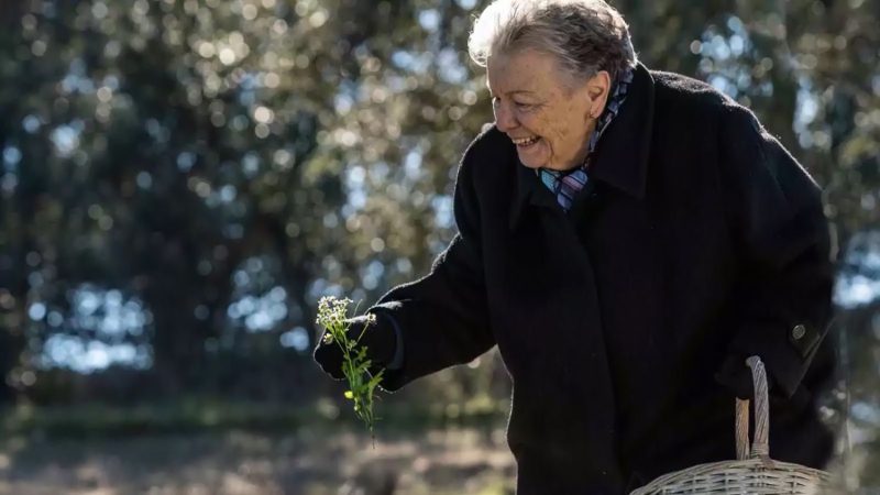 Herminia en 'Cuéntame'