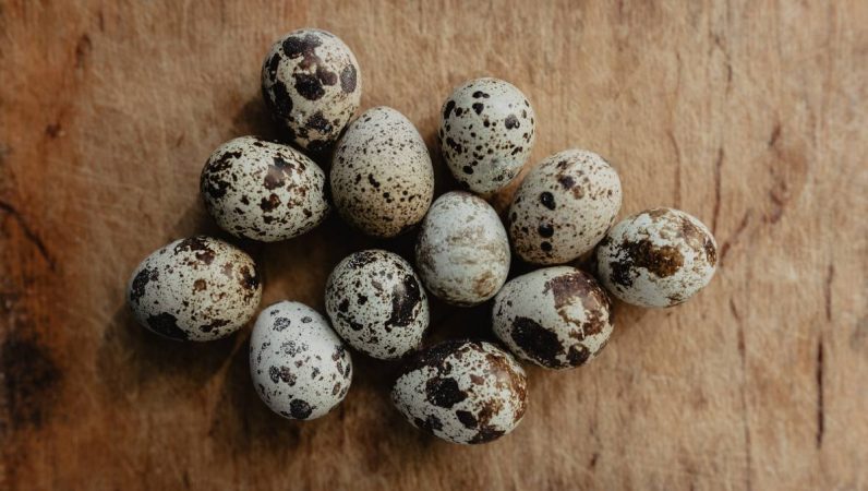 Exquisitos canapés con jamón ibérico y huevo de codorniz: una receta fácil y deliciosa de hacer 1 Merca2.es canapes con jamon iberico y huevo de codorniz 1 Merca2.es