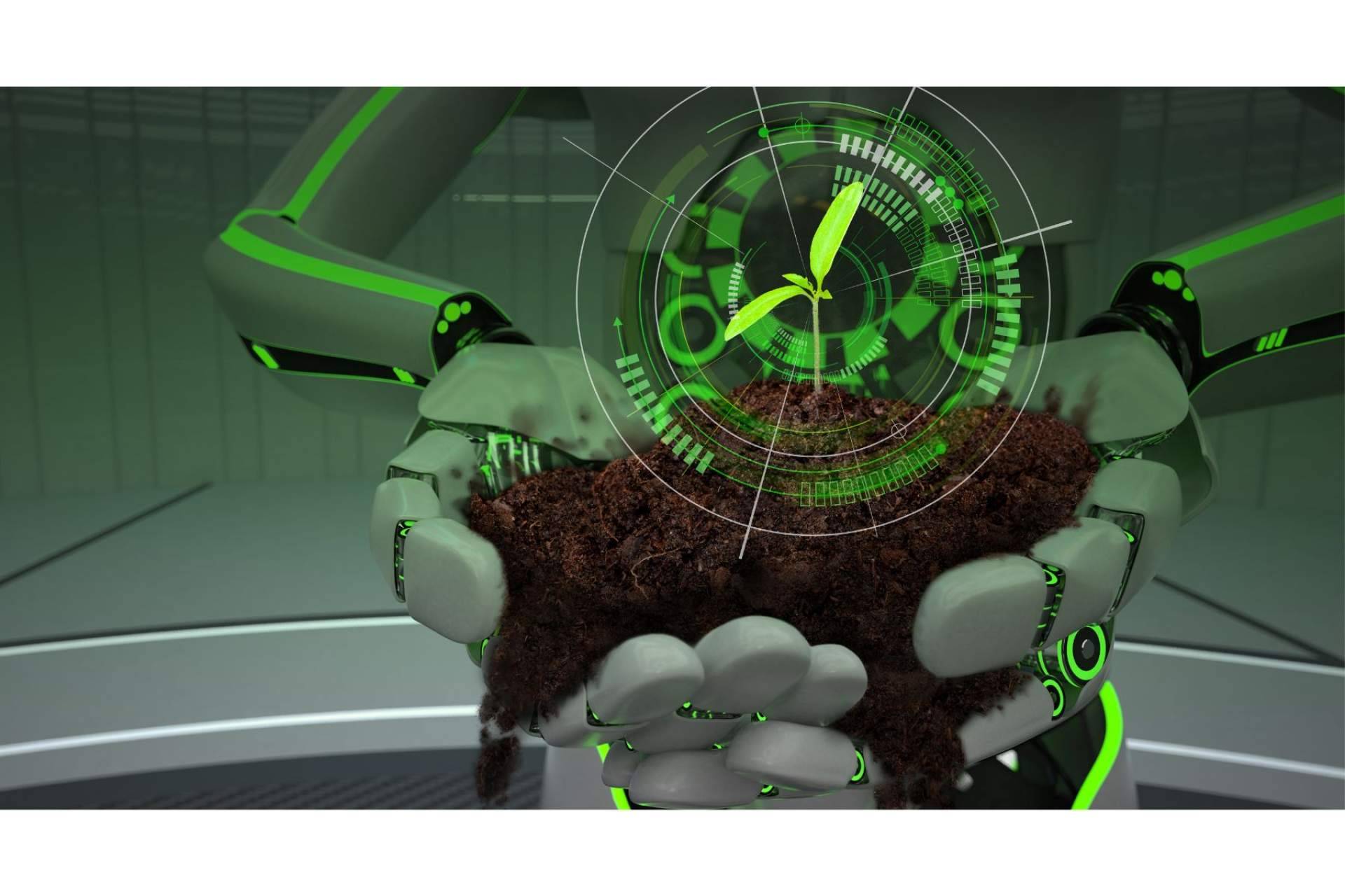 El campo estañol en el mapa gracias a una startup