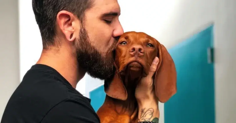 perros Merca2