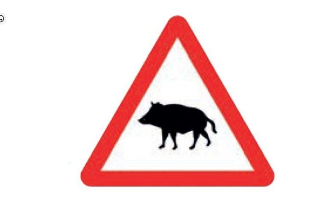 screenshot motor.elpais.com 2023.11.06 16 26 31 Merca2.es