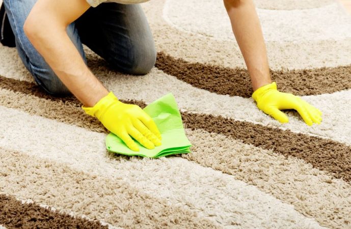 Asi puedes limpiar las alfombras de tu casa de forma facil y sin esfuerzo 5 Merca2.es