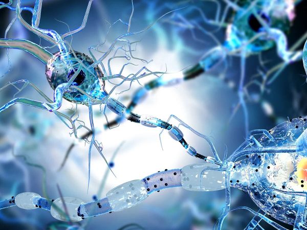 Descifrando el enigma: la alfa-sinucleína como clave en la detección del Parkinson