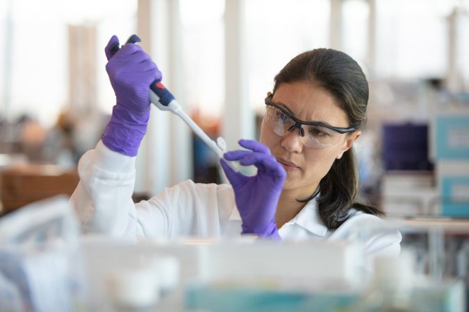 MSD centra su estrategia RSC en el enfoque 'One Health' 3 Merca2.es Investigacion MSD Merca2.es