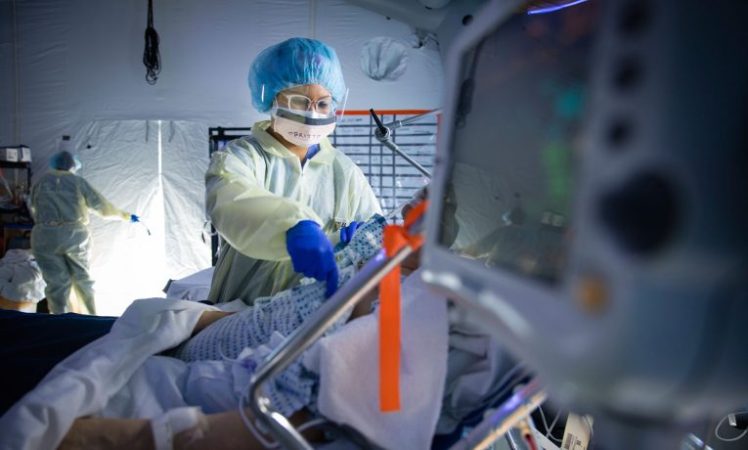 ¿La próxima amenaza: gripe aviar como candidata principal según expertos?