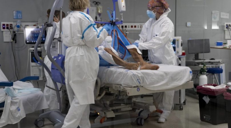 Lo que ha declarado el experto