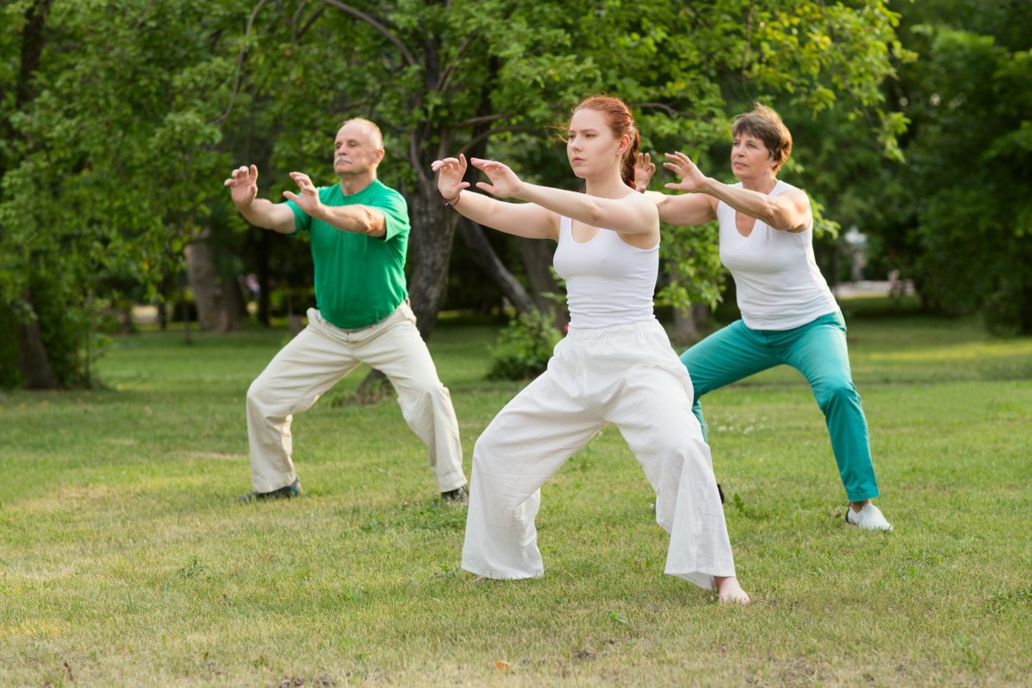 QIGONG 2 Qi Gong