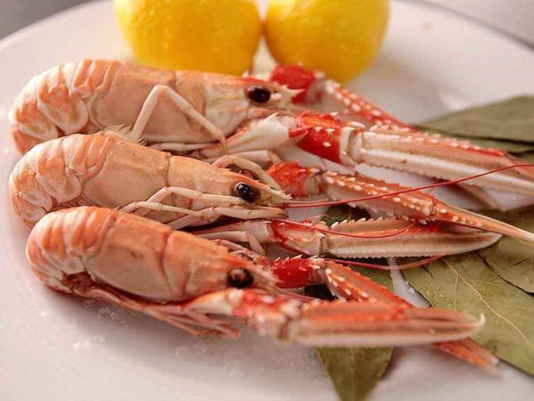 Recomendaciones para preparar las Cigalas