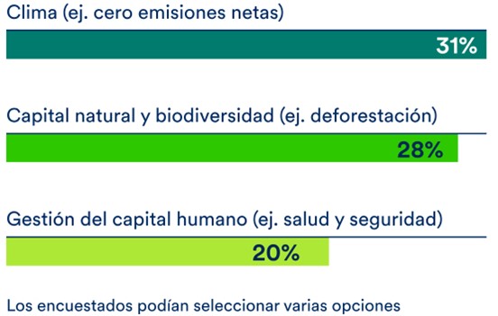 Schroders 5 Merca2.es