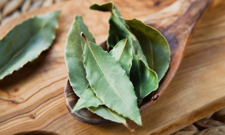 Descubre el poder mágico del laurel: limpieza energética para tu hogar