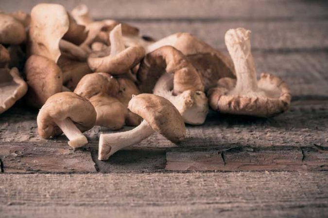 Alerta alimentaria: estos son los alimentos que no se deben recalentar 42 Merca2 setas Merca2