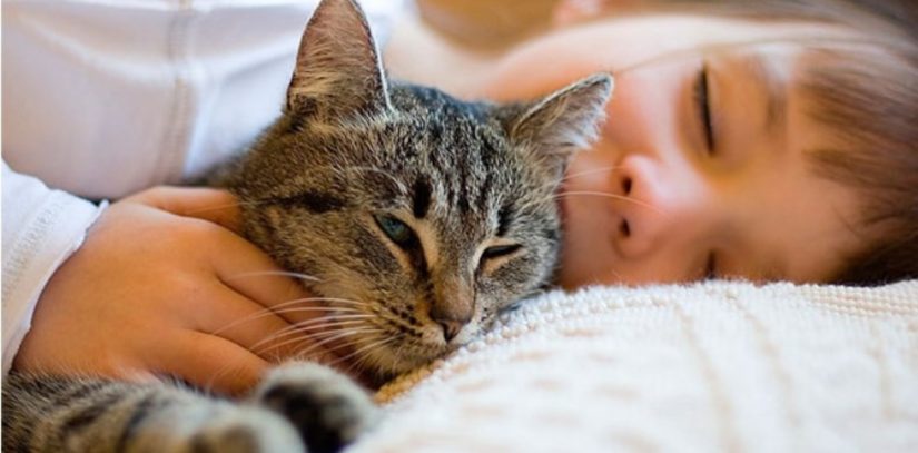Parece que los gatos prefieren a las mujeres