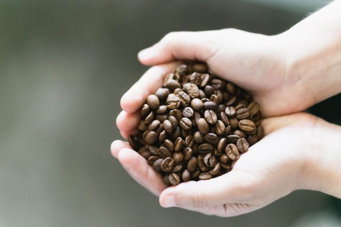 Absorbe naturalmente los olores