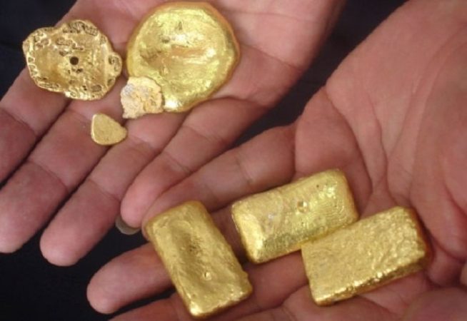 La han puesto un nombre científico peculiar