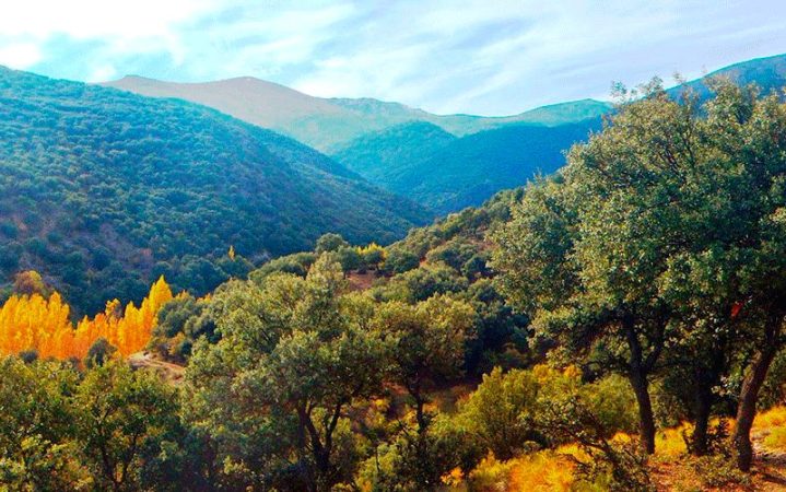 EL BOSQUE ENCANTADO DE MONTEJICAR ANDALUCIA Merca2.es
