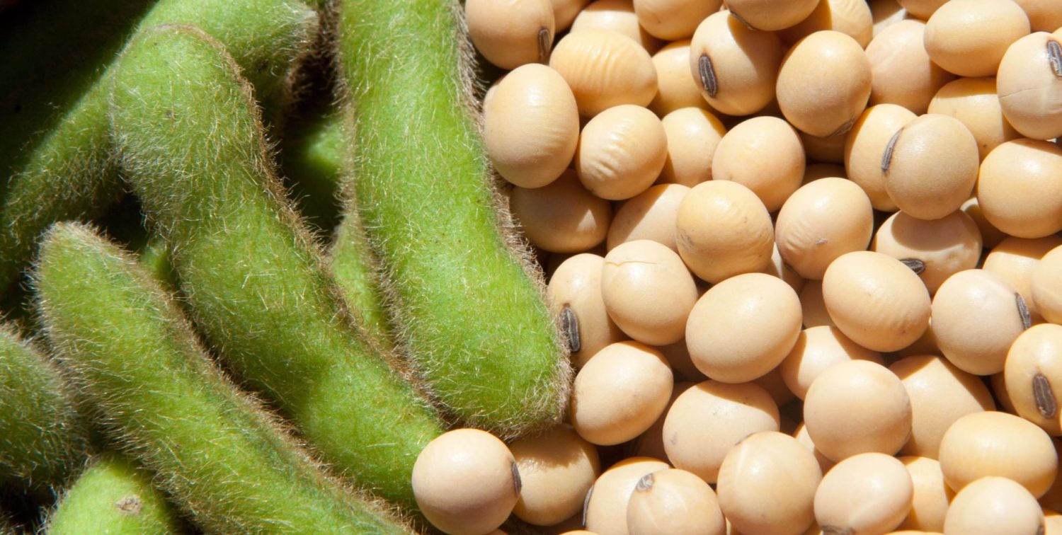 Proteínas: El error fatal en tu dieta que podría costarte la salud 1 Merca2.es PROTEÍNAS: ¿ALIADO O VILLANO?