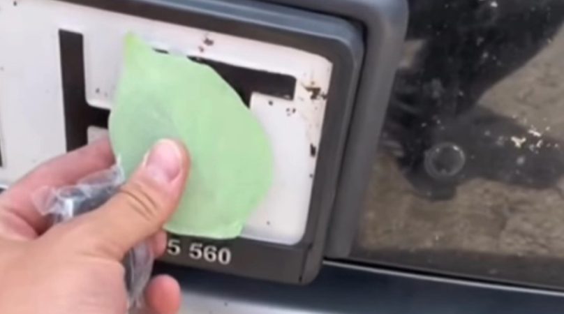 Pero que no te atrapen modificando la matrícula