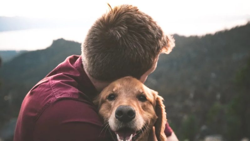 Estas son las palabras, que según la ciencia, entienden perfectamente los perros 63 Merca2 Hay perros que son más selectivos