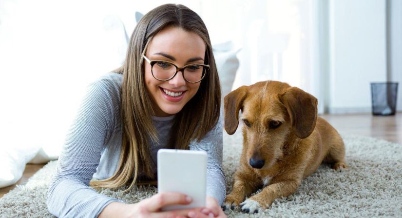 Estas son las palabras, que según la ciencia, entienden perfectamente los perros 64 Merca2 Antes de hablar frente a tu perro, cerciórate de su raza