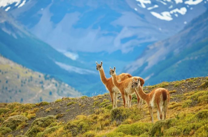 Estos son los mejores destinos turísticos calidad-precio para este nuevo año, según Lonely Planet 115 Merca2 ¿Qué te parecen estas sugerencias de Lonely Planet? ¿Cuál escogerías?