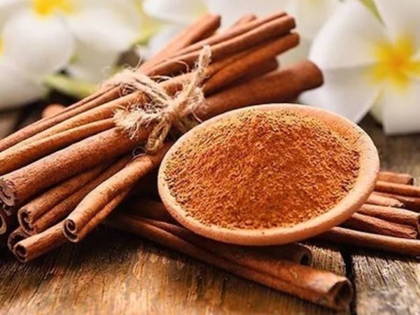 Las características de la canela