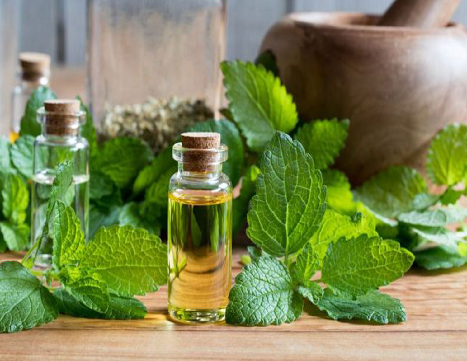 Melisa: Así es la infusión milagrosa para una piel joven y sin estrés 4 Merca2.es MELISA: UNA ALTERNATIVA NATURAL A LOS TRATAMIENTOS COSMÉTICOS