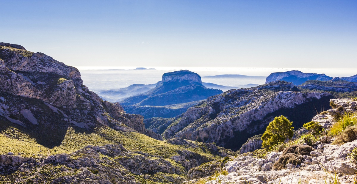 Donde habitan las leyendas: los misterios de la Sierra de Tramuntana en Mallorca 2 Merca2.es LA FLORA Y FAUNA EXCEPCIONALES