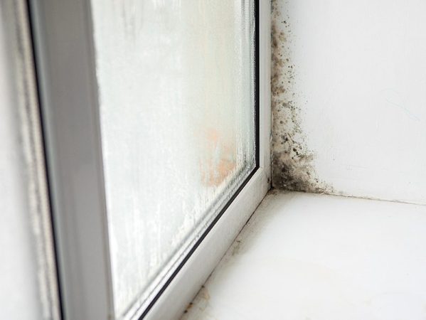 ¿Por qué se generan las humedades en las paredes del hogar?