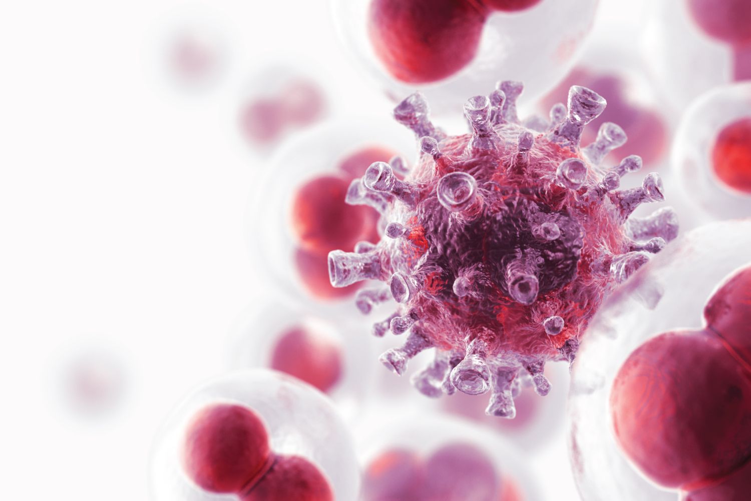 Qué son las células zombis y cómo afectan a nuestro organismo 2 Merca2.es ESTRATEGIAS TERAPÉUTICAS Y PERSPECTIVAS FUTURAS