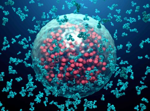 células zombis 4 células zombis