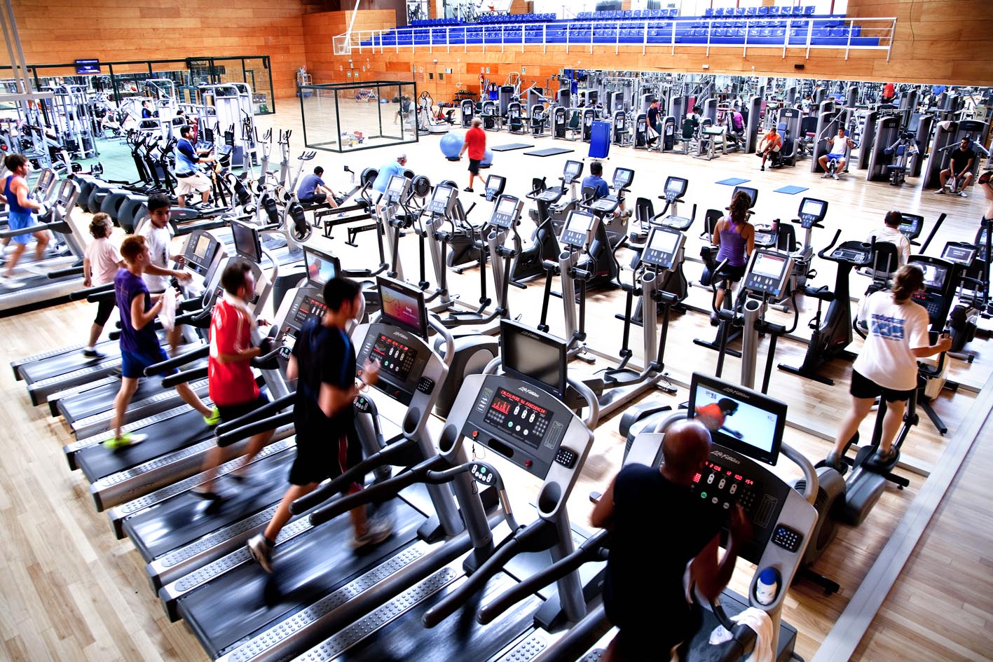 El Rol de la Alimentación en el Éxito del Gimnasio
