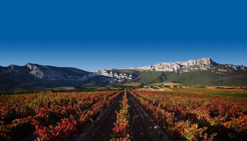 Restauración en la Rioja Alavesa