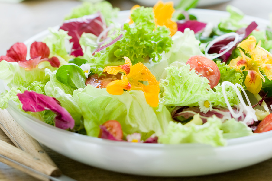 Dieta de South Beach 4 Detox natural más allá de los jugos verdes: Estrategias efectivas para limpiar tu cuerpo