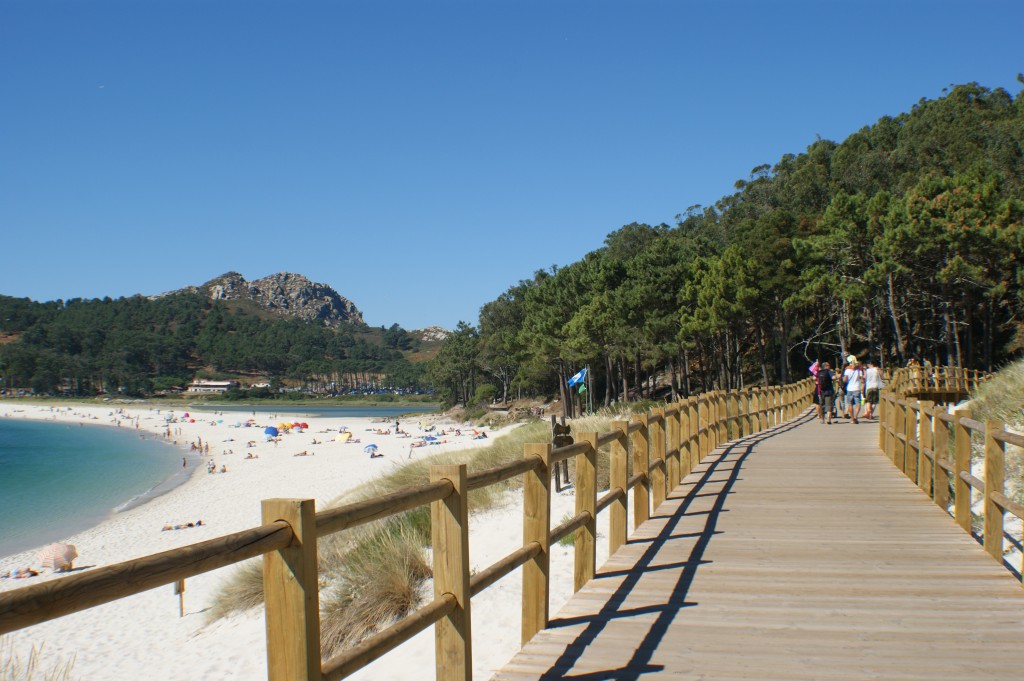Paisajes de otro mundo: los colores ocultos de las Islas Cíes en Galicia 1 Merca2.es LA FLORA Y FAUNA INSULAR