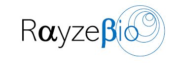 Bristol-Myers presenta un futuro incierto pese a la potente renovación de cartera 5 Merca2.es RAYZEBIO Merca2.es