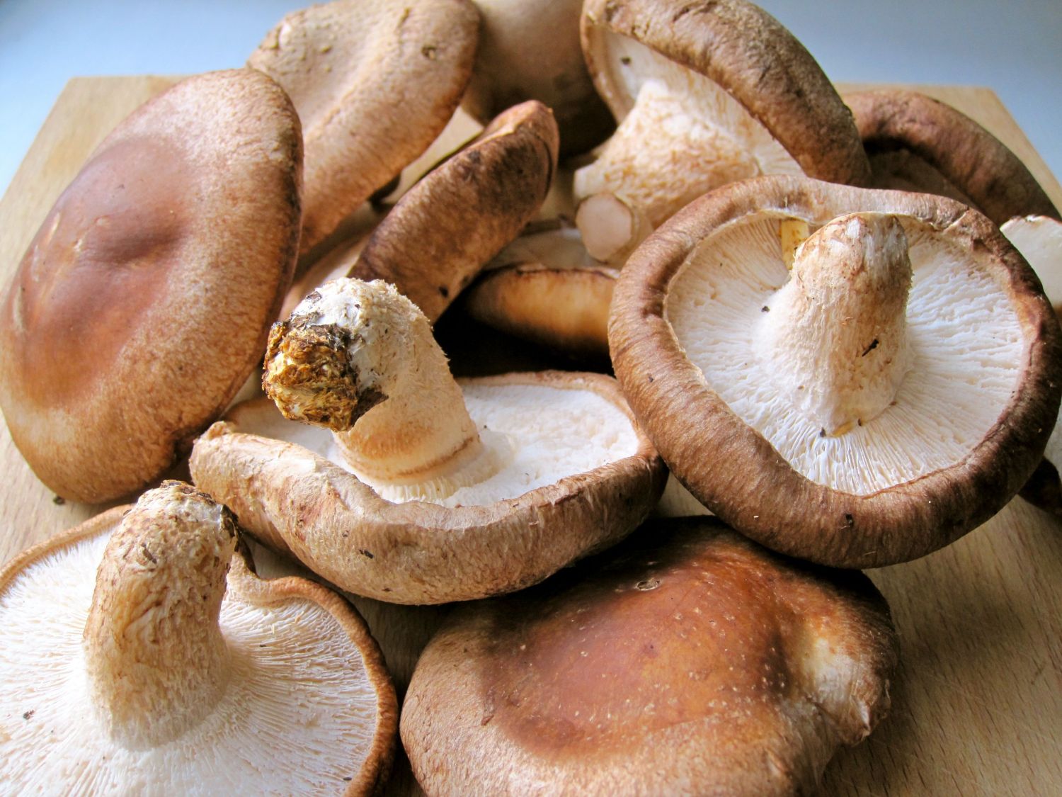 SHIITAKE 5 Shiitake: Explora los Secretos de Estas Setas Japonesas y Sus Efectos Milagrosos
