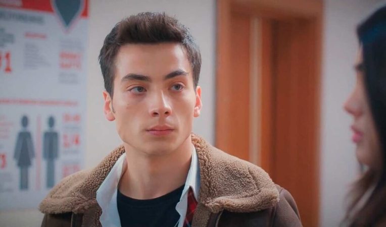Sarp hermanos Merca2