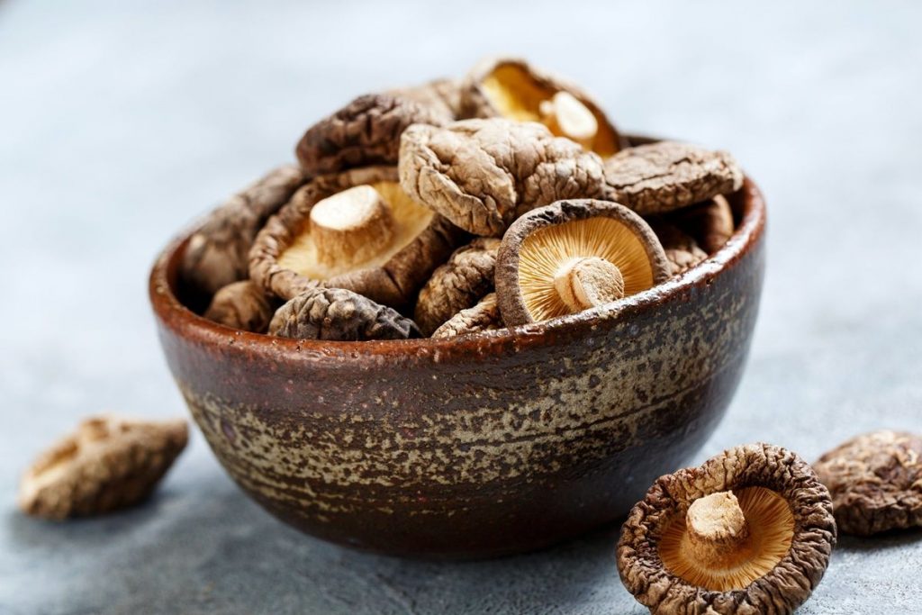 Shiitake: Descubre estas setas japonesas y sus milagrosos beneficios