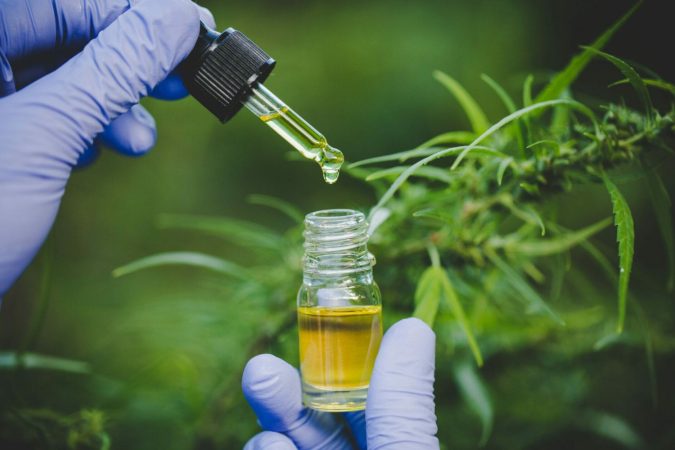 Cannabis medicinal: Usos, beneficios y precauciones científicas