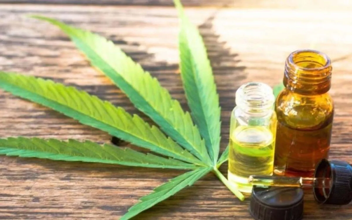 El cannabis medicinal aterriza en España: sus riesgos y usos autorizados