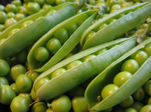guisantes-4-1