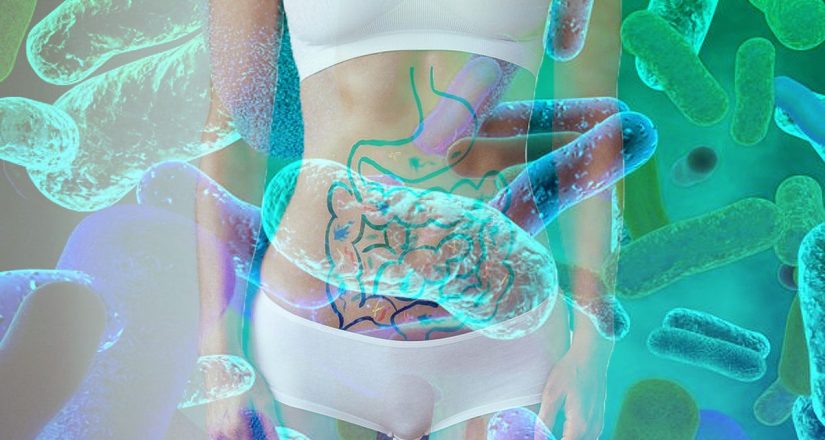 microbiota Merca2.es