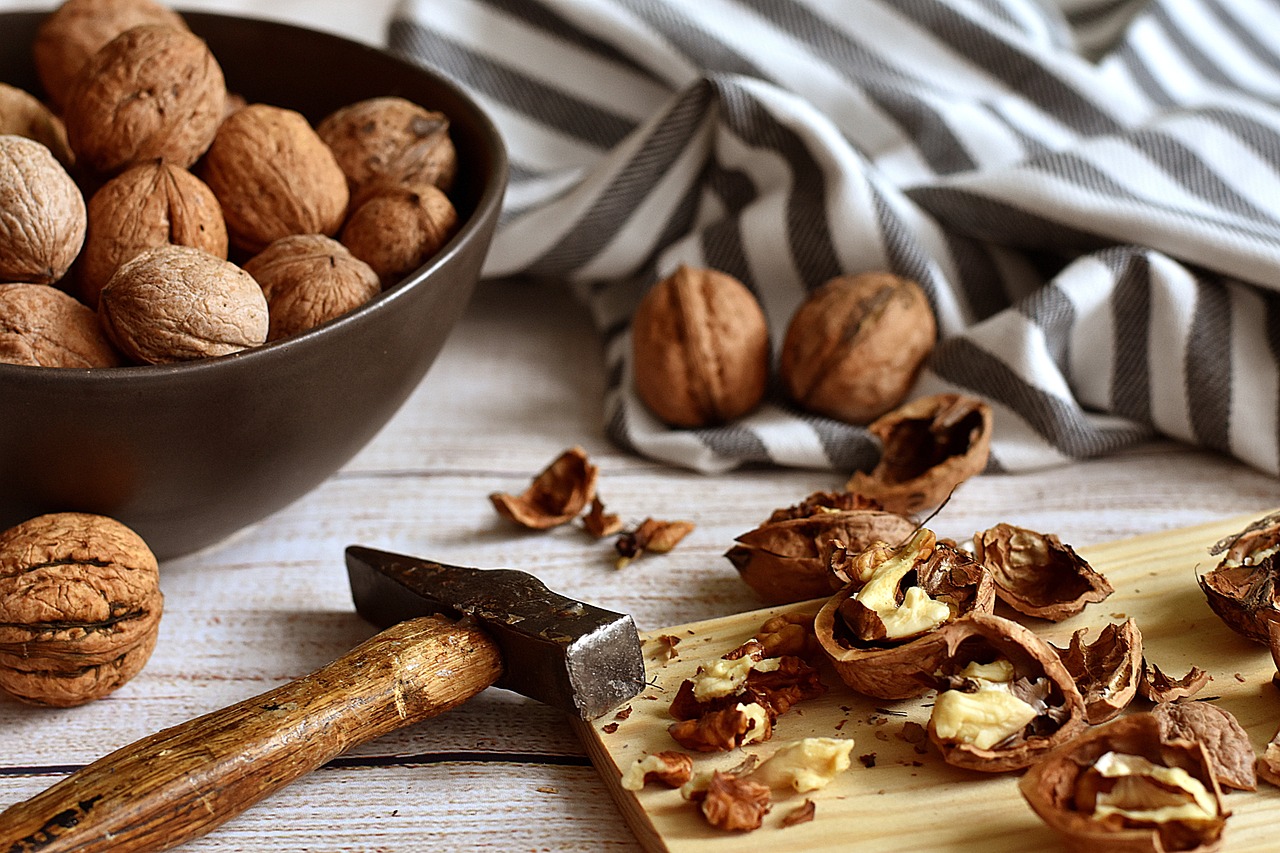 CONCLUSIONES: LAS NUECES, UNA JOYA NUTRICIONAL A EXPLORAR