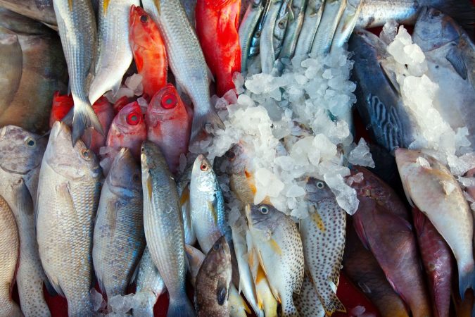 Estos son los tres pescados con más nutrientes del mercado por lo que son los más recomendables 3 Merca2.es pescado crudo mercado Merca2.es